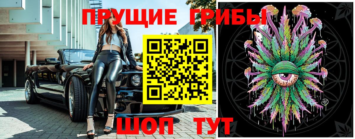 Кстово  Псилоцибиновые грибы Psilocybine cubensis  Вход с VPN 
